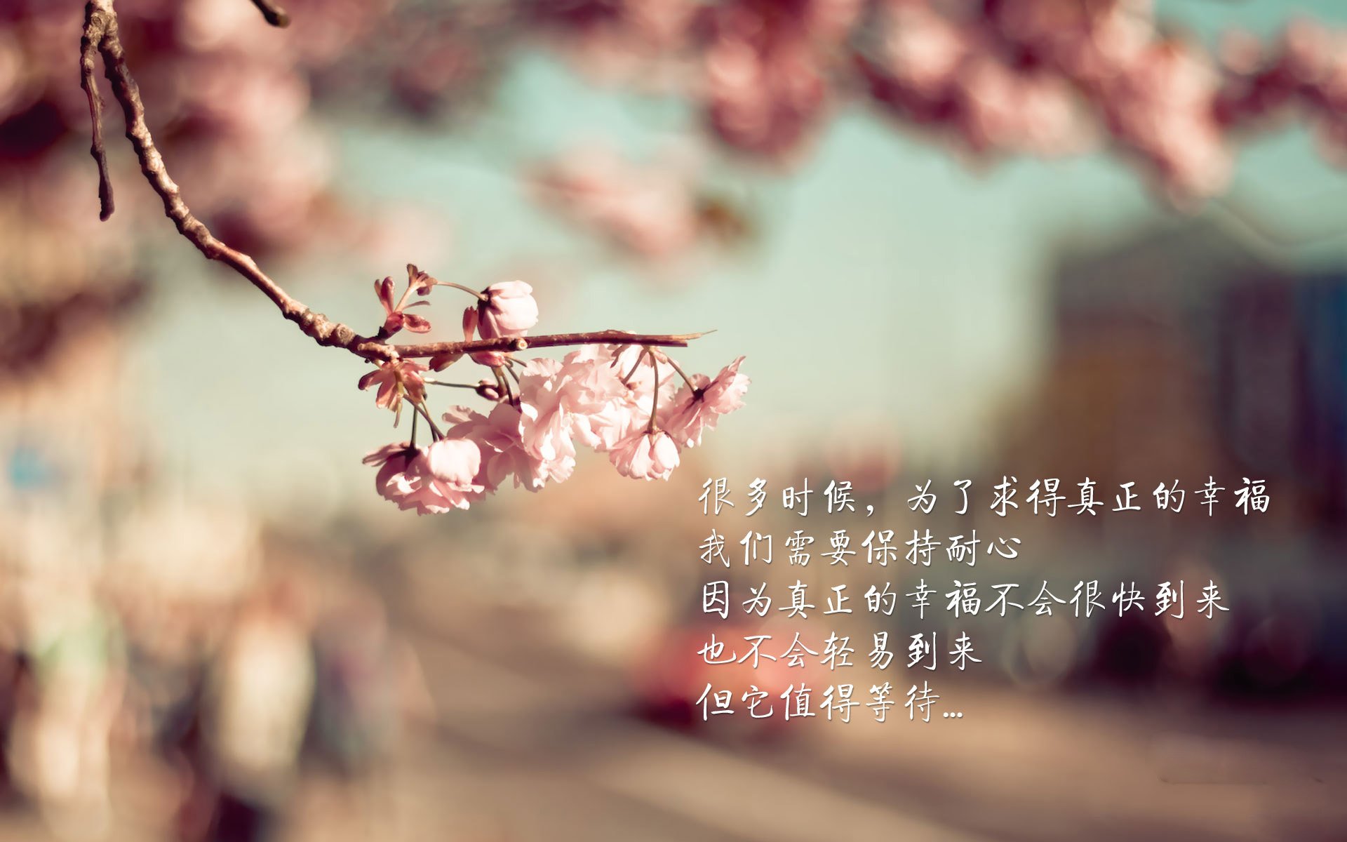 开云中国-库兹马诺维奇在巴黎奥运会手球比赛中展现出高水平的扑救技巧，库兹马传球