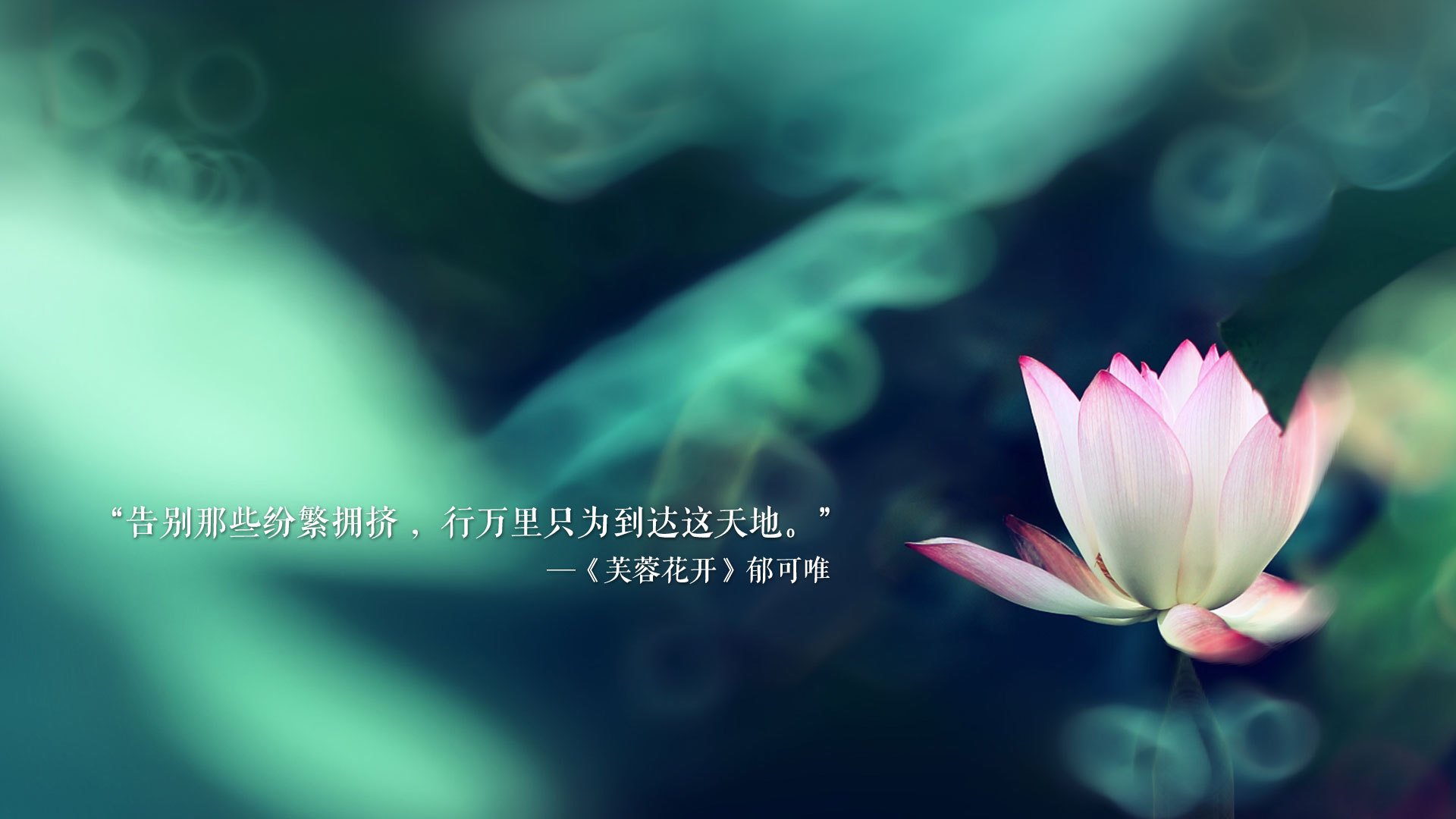 黄蜂队球队替补阵容表现亮眼，黄蜂队球员名单最新