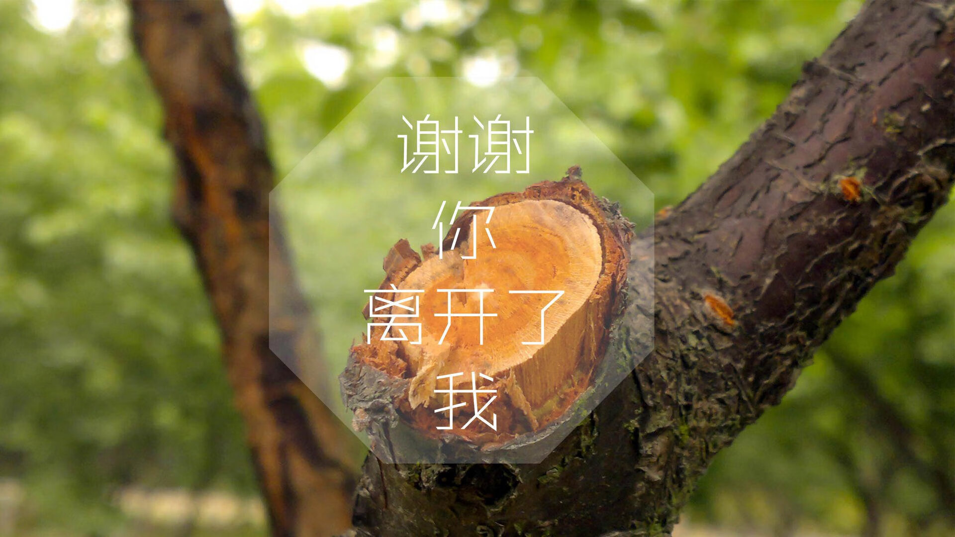kaiyun官方入口登录-如何防住得分手联盟防守策略曝光，防分手神器